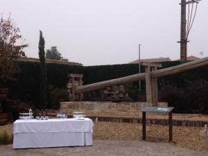 Pagos del Rey: Conociendo más cerca la cultura del vino