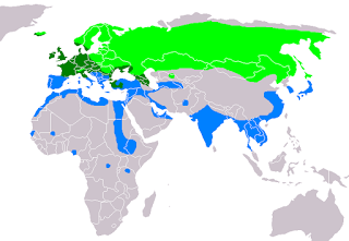 Censos periódicos (1): Cercetas
