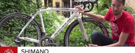 Shimano Neutral Support Bike