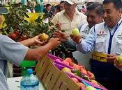 Nelson chui presente feria agropecuaria interprovincial cañete 2015...