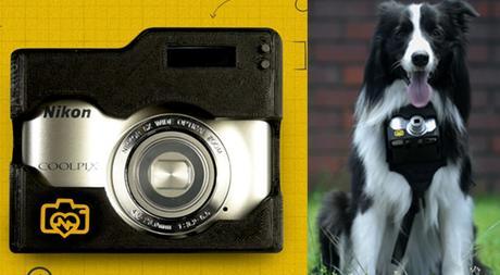 cámara de fotos para perros