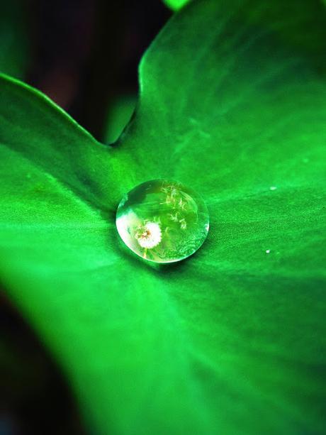 Limpieza: 6 Despropósitos Que Tu Piel No Perdona