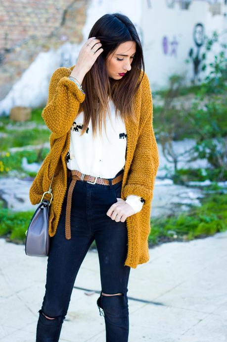 elephants shirt zara