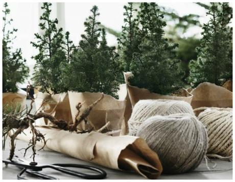 Pequeños árboles de Navidad