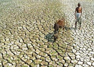 ¿Qué efectos del cambio climático preocupan más a la gente?