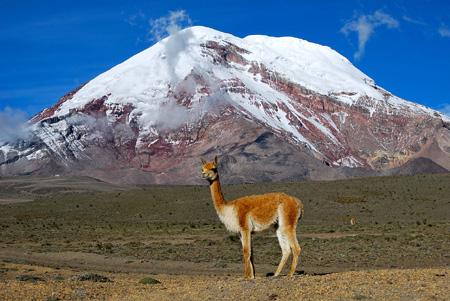 Intercambiar idiomas desde Ecuador