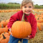 Sacar partido a los alimentos de otoño.