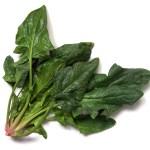 Sacar partido a los alimentos de otoño.