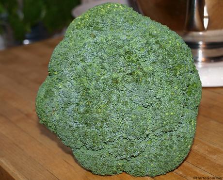 RECETA: Sopa de brócoli