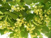 Y a vos, qué te hace feliz?