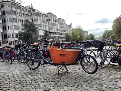 Y a vos, qué te hace feliz?