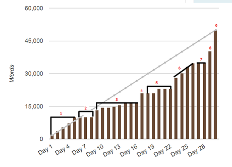 Treinta días escribiendo una novela: lo que aprendí de NaNoWriMo