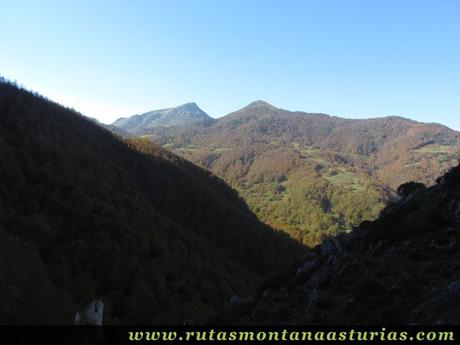 Ruta Víboli Peña Subes y Sen Mulos: Bosque de Peloño