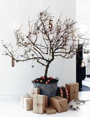 Esta navidad decoramos con ramas