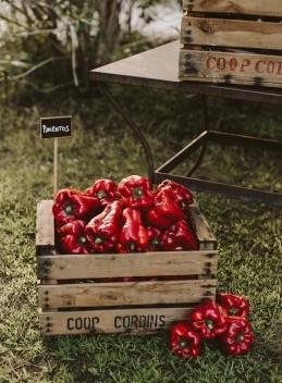 decoración boda con frutas www.bodasdecuento.com