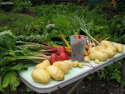 90e1b_alimentos_organicos