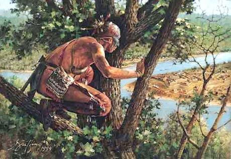 nativos norteamerica