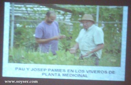 Josep Pamies en Torrevieja – Si No Pudiste Ir…
