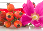 Aceite rosa mosqueta para tomar