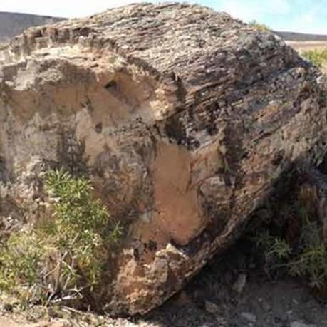 Lo mejor de Galería Fotográfica de Argentina: los 10 artículos más leídos en el mes de Noviembre de 2015.