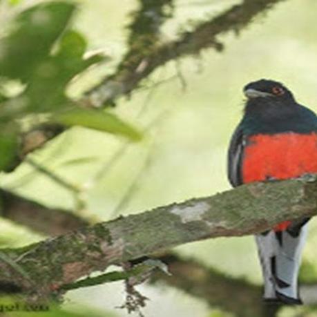 Lo mejor de Galería Fotográfica de Argentina: los 10 artículos más leídos en el mes de Noviembre de 2015.