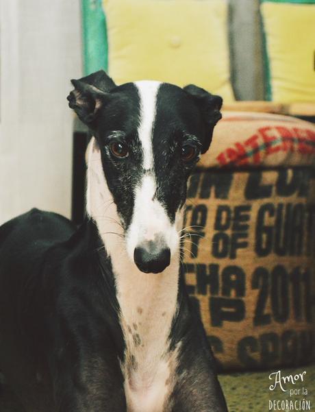 HOY COMPARTIMOS... RETRATOS HAPPY HOY COMPARTIMOS... RETRATOS HAPPY