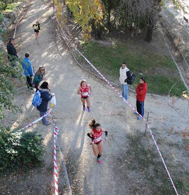 XXXIV CROSS INTERNACIONAL DE LA CONSTITUCIÓN (ALCOBENDAS)