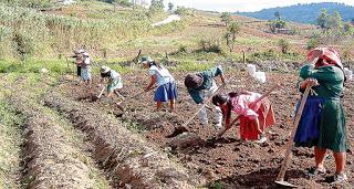 Una buena noticia: IMPLEMENTARÁN FORMACIÓN AGRÍCOLA EN YAUYOS, HUAROCHIRÍ Y CAÑETE...
