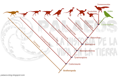 Las aves son dinosaurios