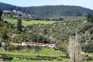 La nave de los pobres