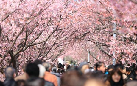 Tu smartphone te delata: así siguen tus pasos las empresas y las agencias de inteligencia