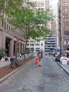 Día 8: New York: Lower Mahattan - Staten Island - Brooklyn Bridge