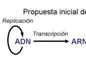 proteína