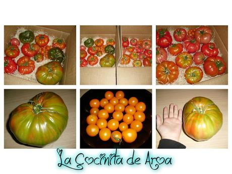 TOMATES RELLENOS DE ARROZ Y CARNE PICADA, TOMATES PASO DOBLE