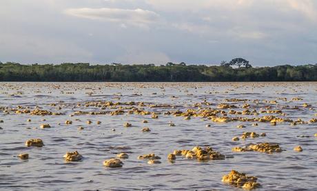 La Paya, amazonia colombiana