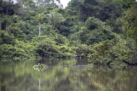 La Paya, amazonia colombiana