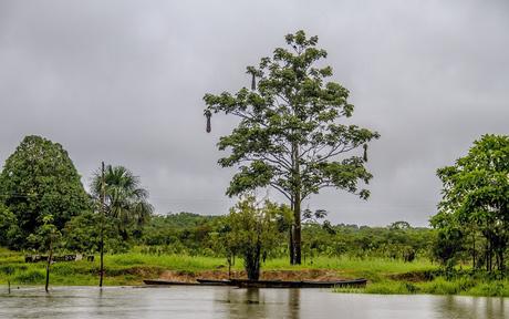 La Paya, amazonia colombiana