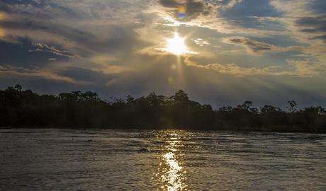 La Paya, amazonia colombiana