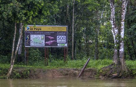 La Paya, amazonia colombiana