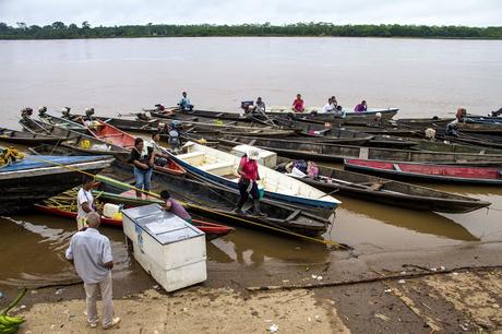 La Paya, amazonia colombiana