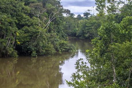 La Paya, amazonia colombiana