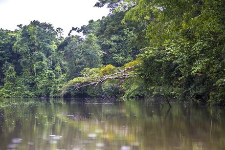 La Paya, amazonia colombiana