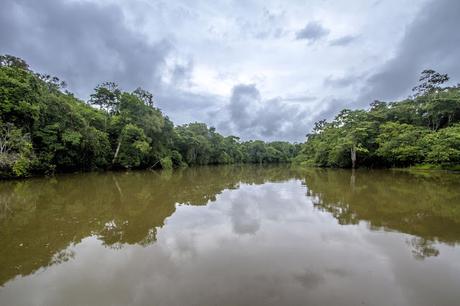 La Paya, amazonia colombiana