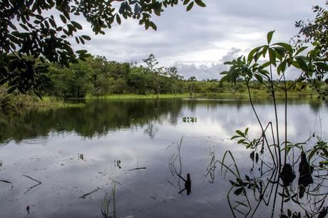 La Paya, amazonia colombiana