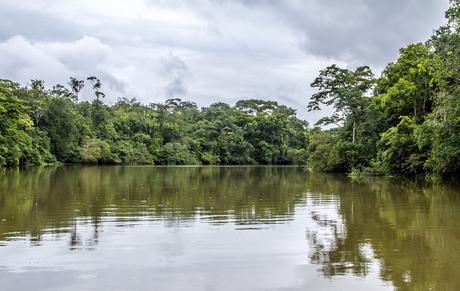 La Paya, amazonia colombiana