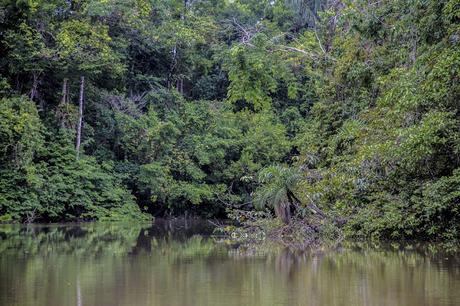 La Paya, amazonia colombiana