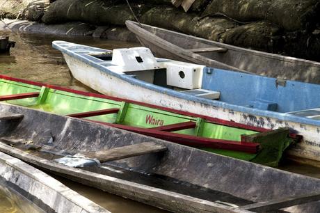 La Paya, amazonia colombiana