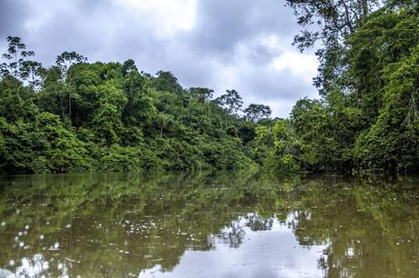 La Paya, amazonia colombiana