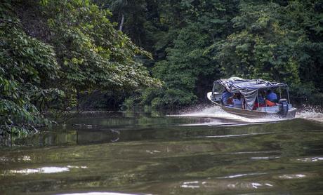 La Paya, amazonia colombiana