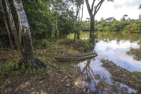 La Paya, amazonia colombiana